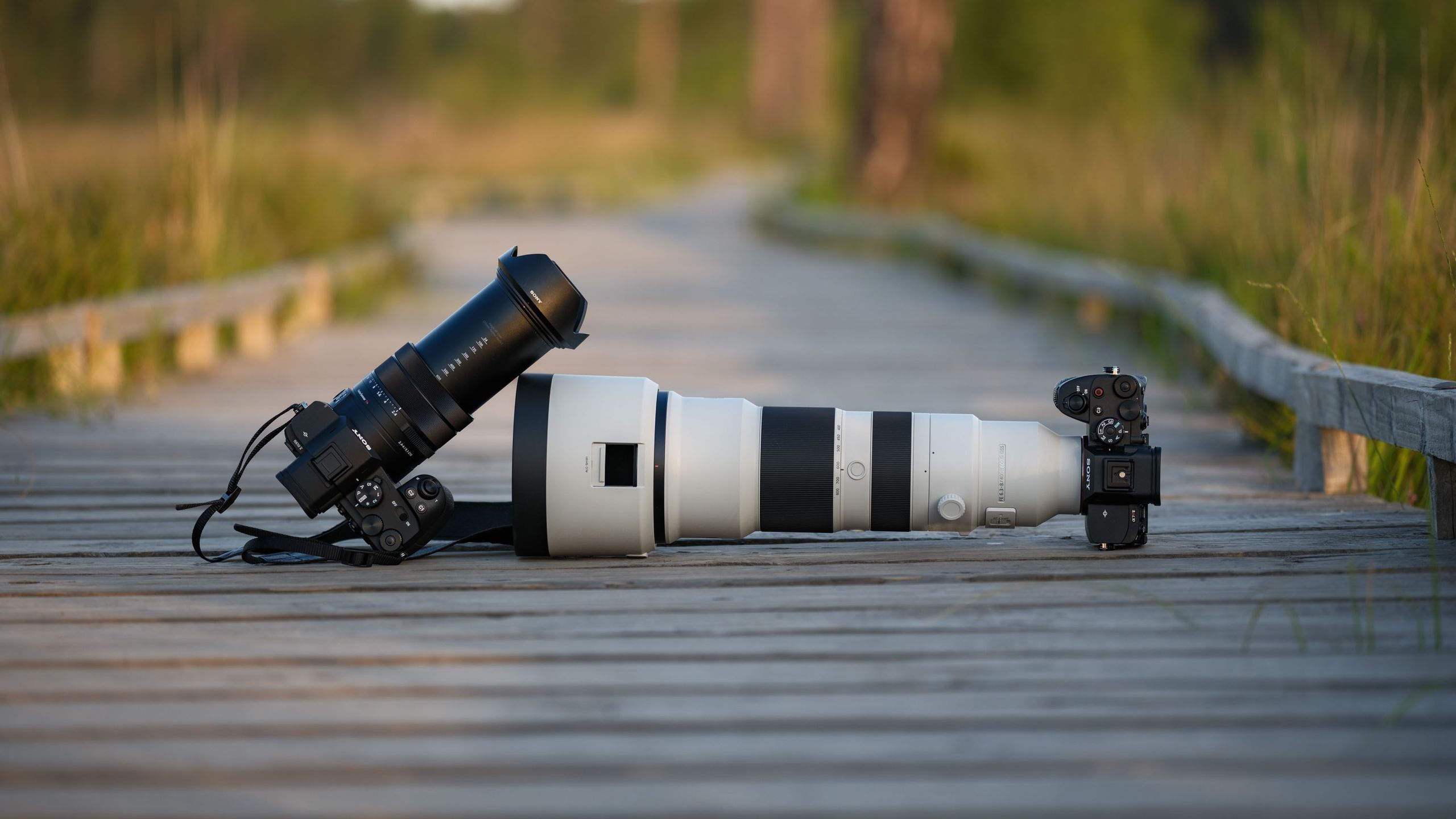 Sony RX10 V vs RX10 IV: Which Bridge Super Zoom Wins?