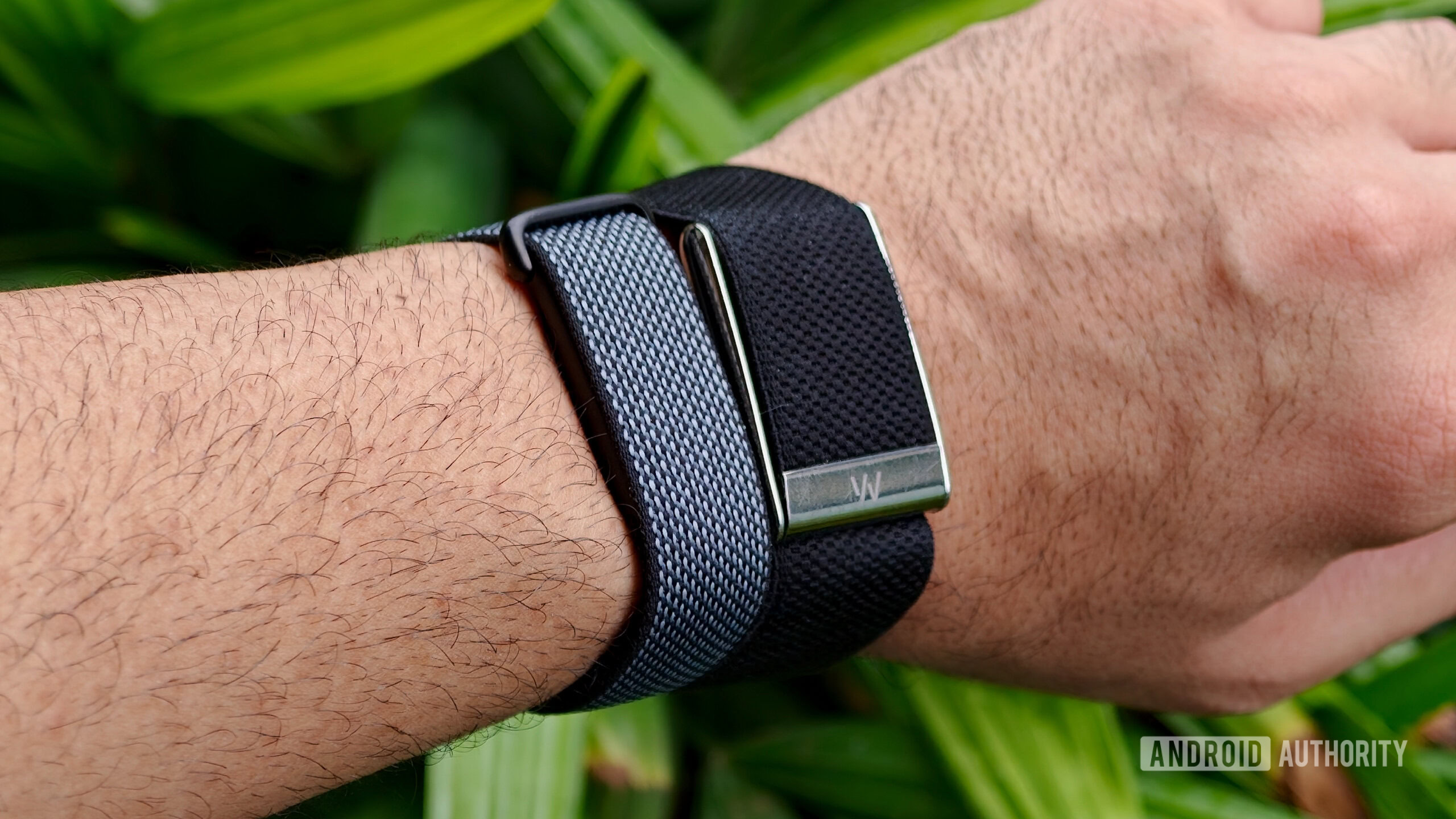 Three Wearables Tested: Which Health Tracker Deserves Your Wrist (or Finger)?