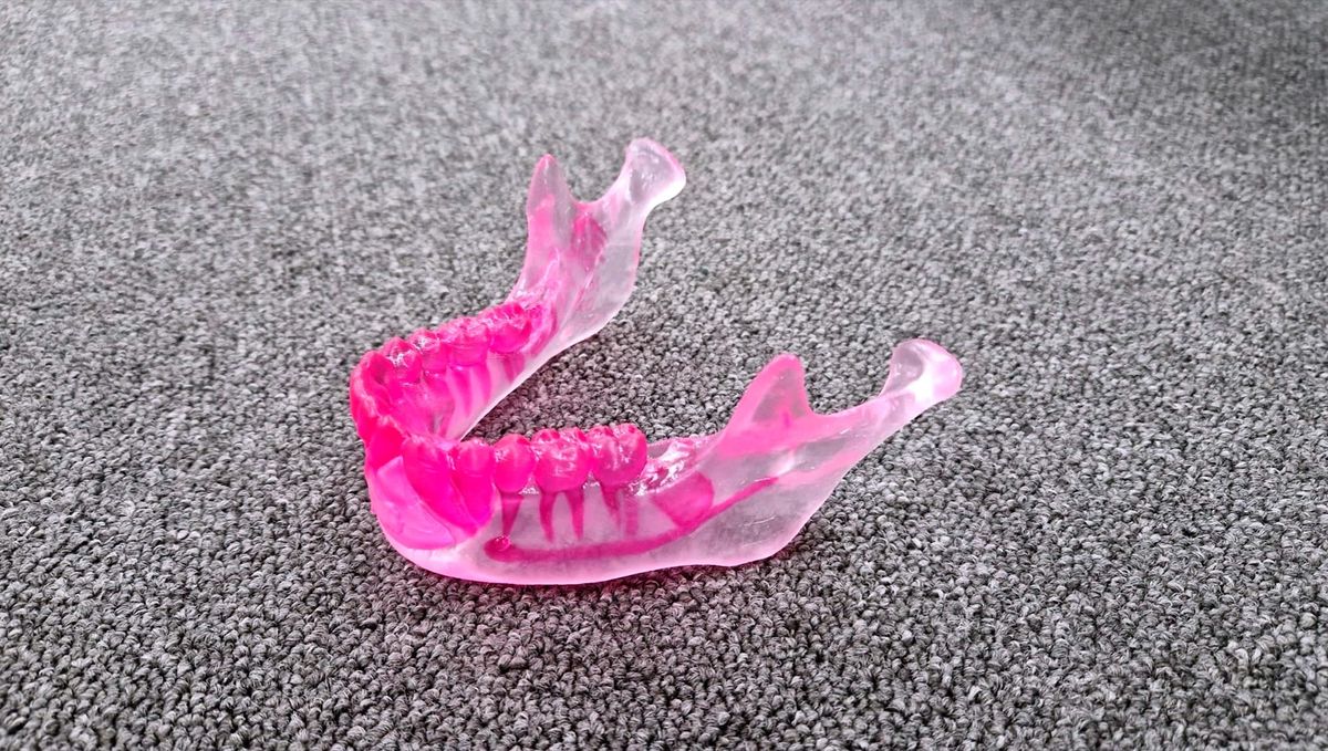 How Startups Are Using 3D Printing to Engineer Custom Regenerative Tissue