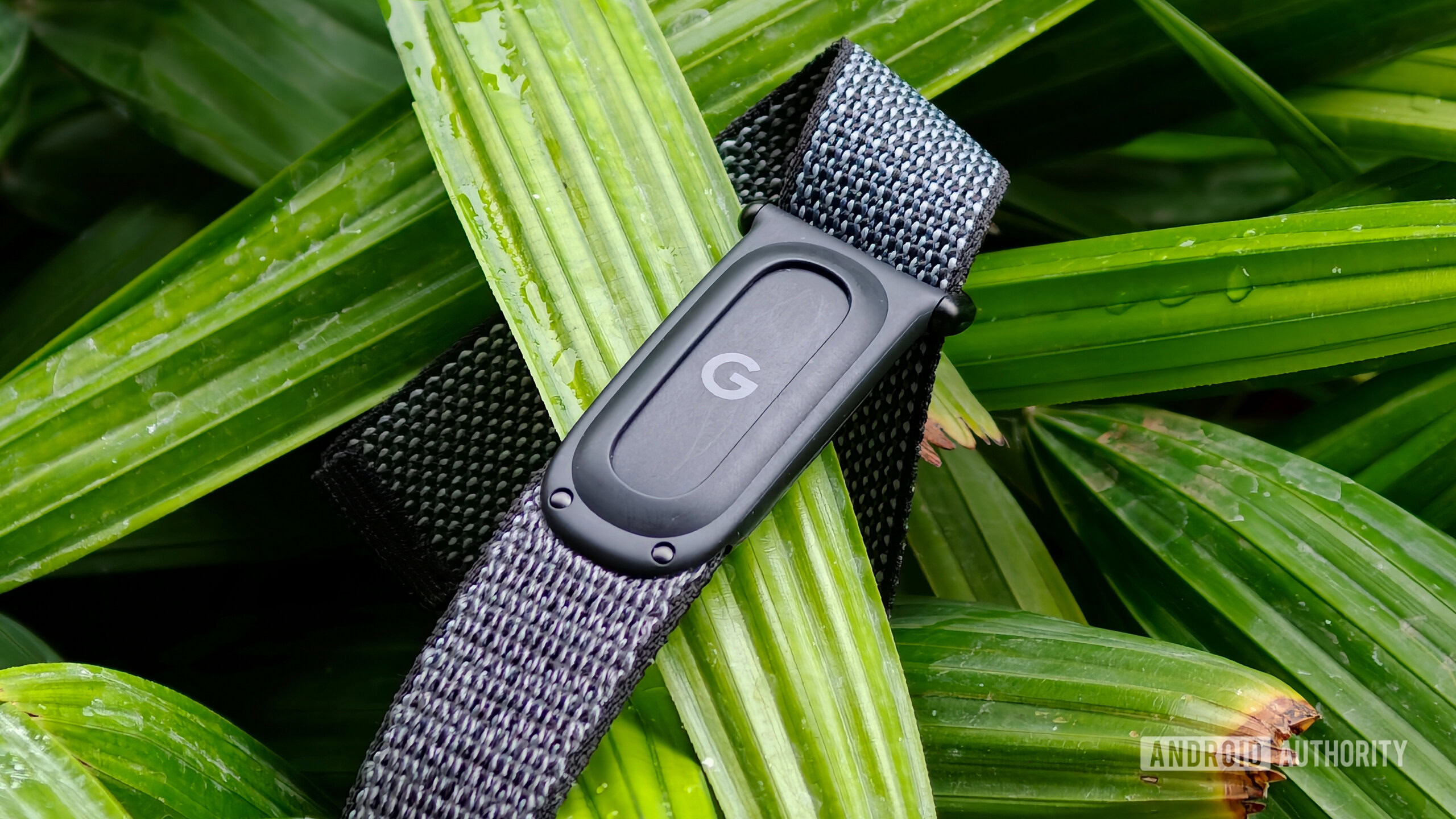 Fitbit Air Review: Accuracy, Limits, and Who It’s For