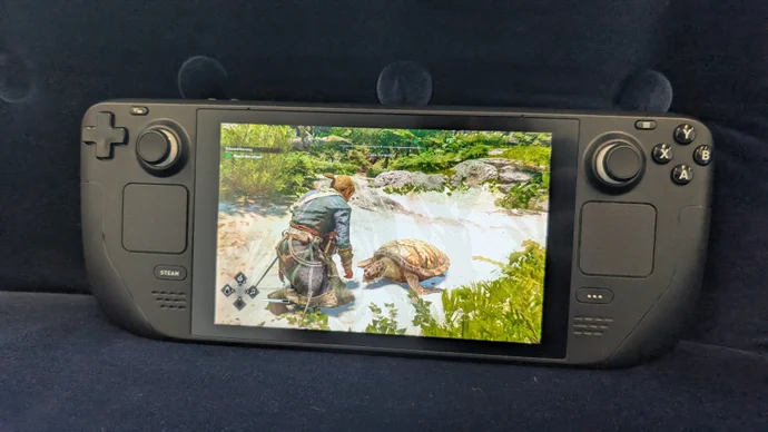 Assassin's Creed Black Flag Resynced Settings Guide for Portable and Budget Rigs
