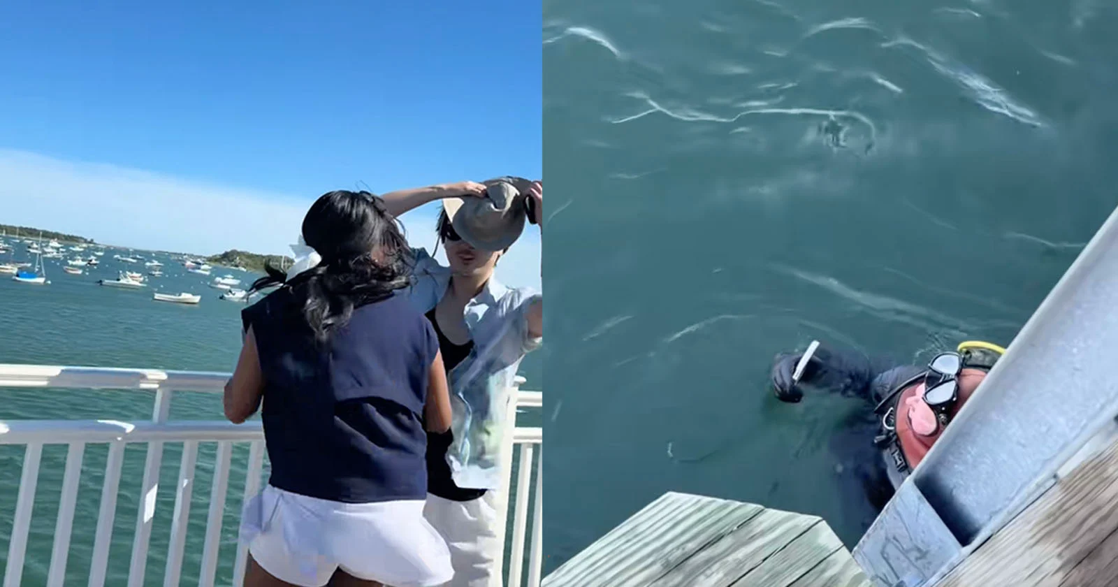 iPhone Underwater Recording Redefines Mobile Videography