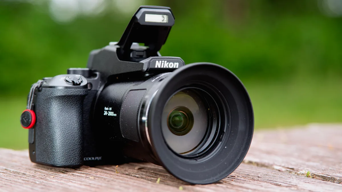 Bridge Cameras for Beginners: Can Auto Mode Handle Wildlife and Macro?