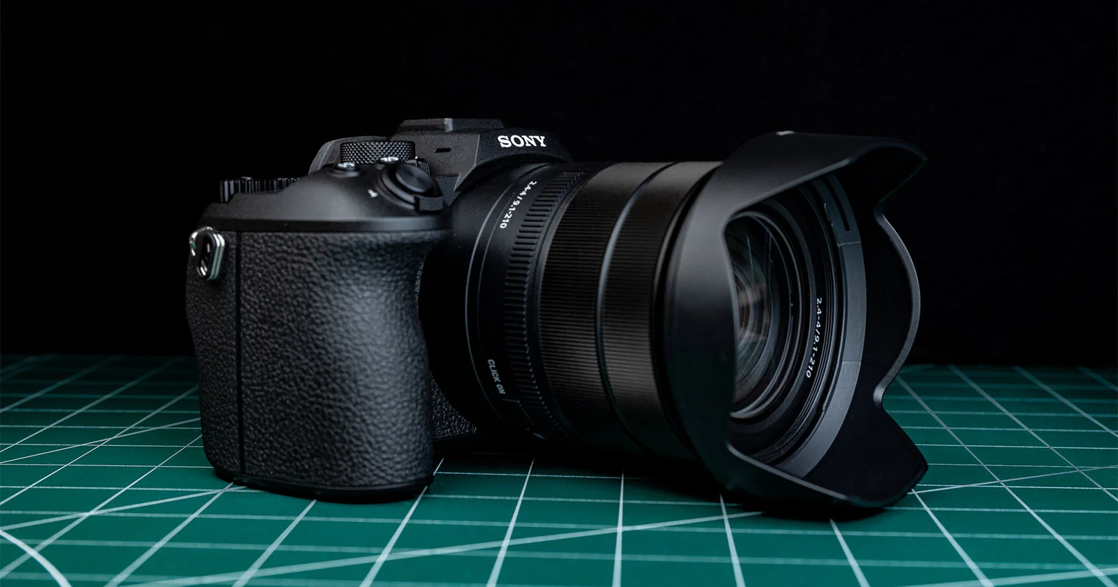 Bridge Cameras for Beginners: Sony RX10 V vs Olympus E-M10 Mark IV
