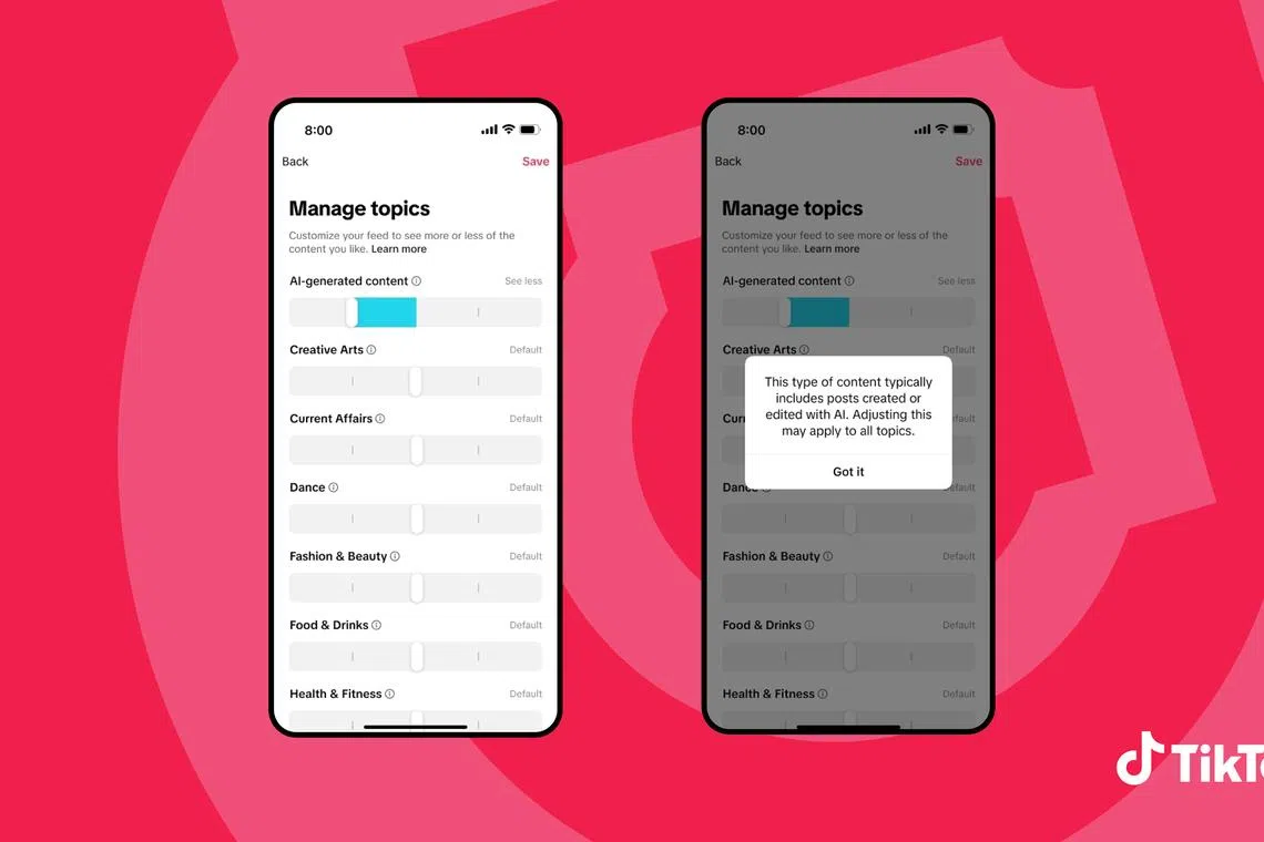 TikTok’s AI Guardrails: Separating Help From Spam