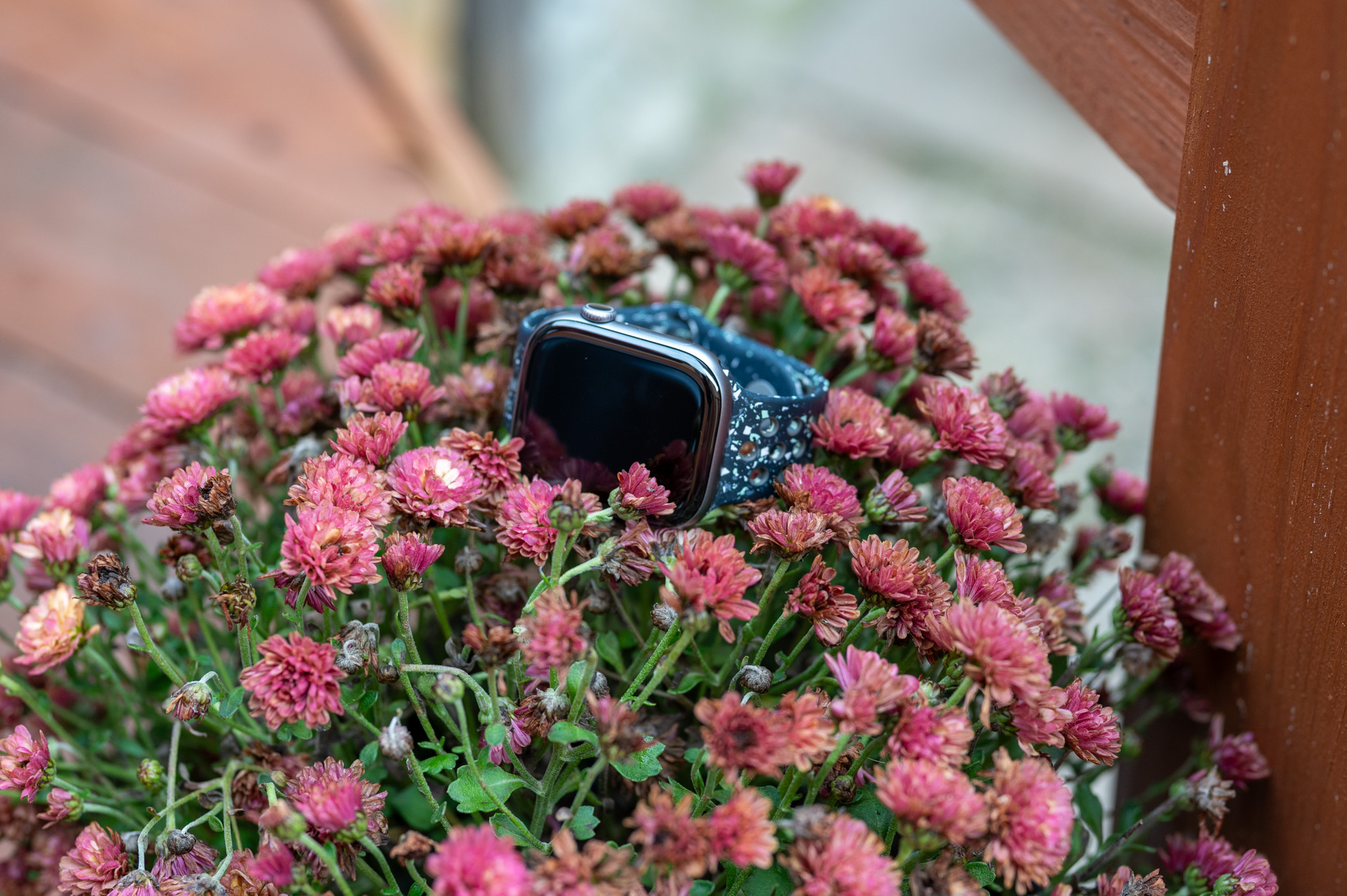 Apple Watch chiếm 90% smartwatch AI: khoảng cách ngày càng khó san lấp