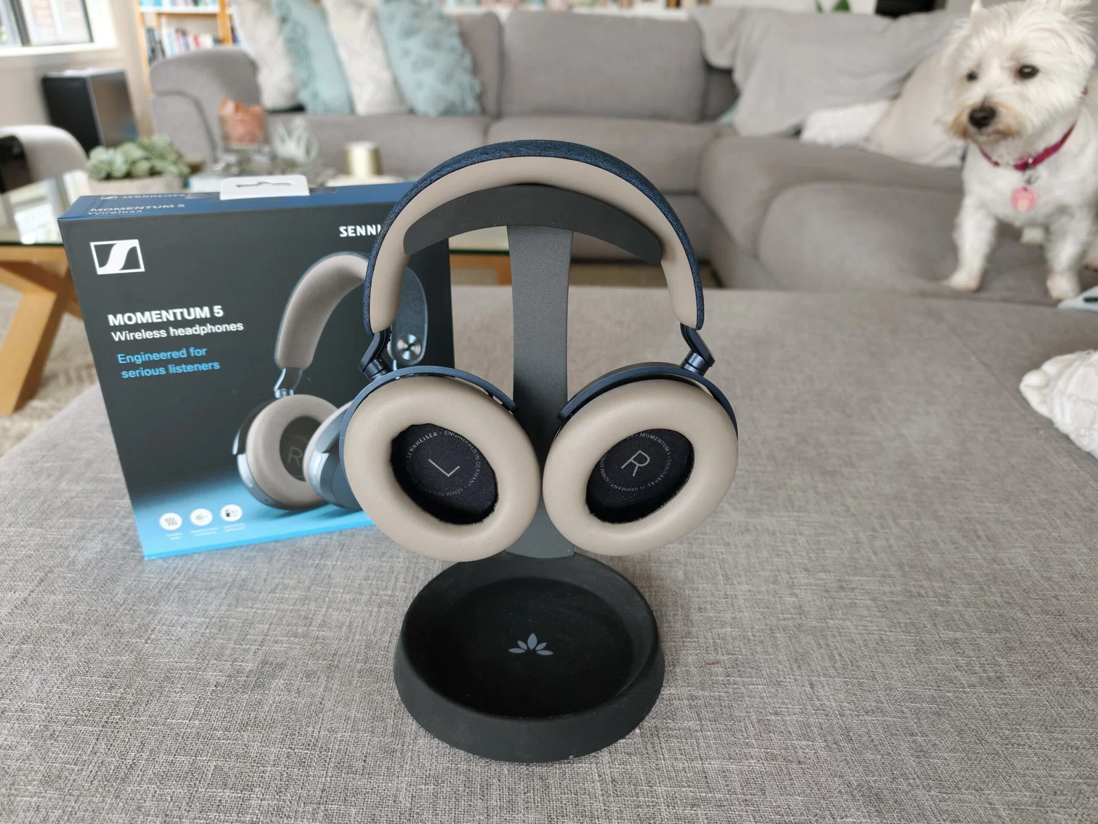 Sennheiser Momentum 5 Wireless Review: Premium Sound at a Price