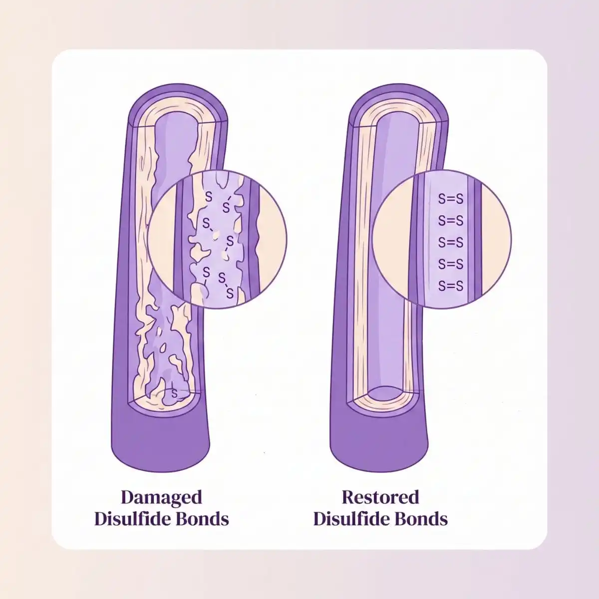 Bond Repair Treatments Ranked: Science, Cost, and Real Results for Damaged Hair