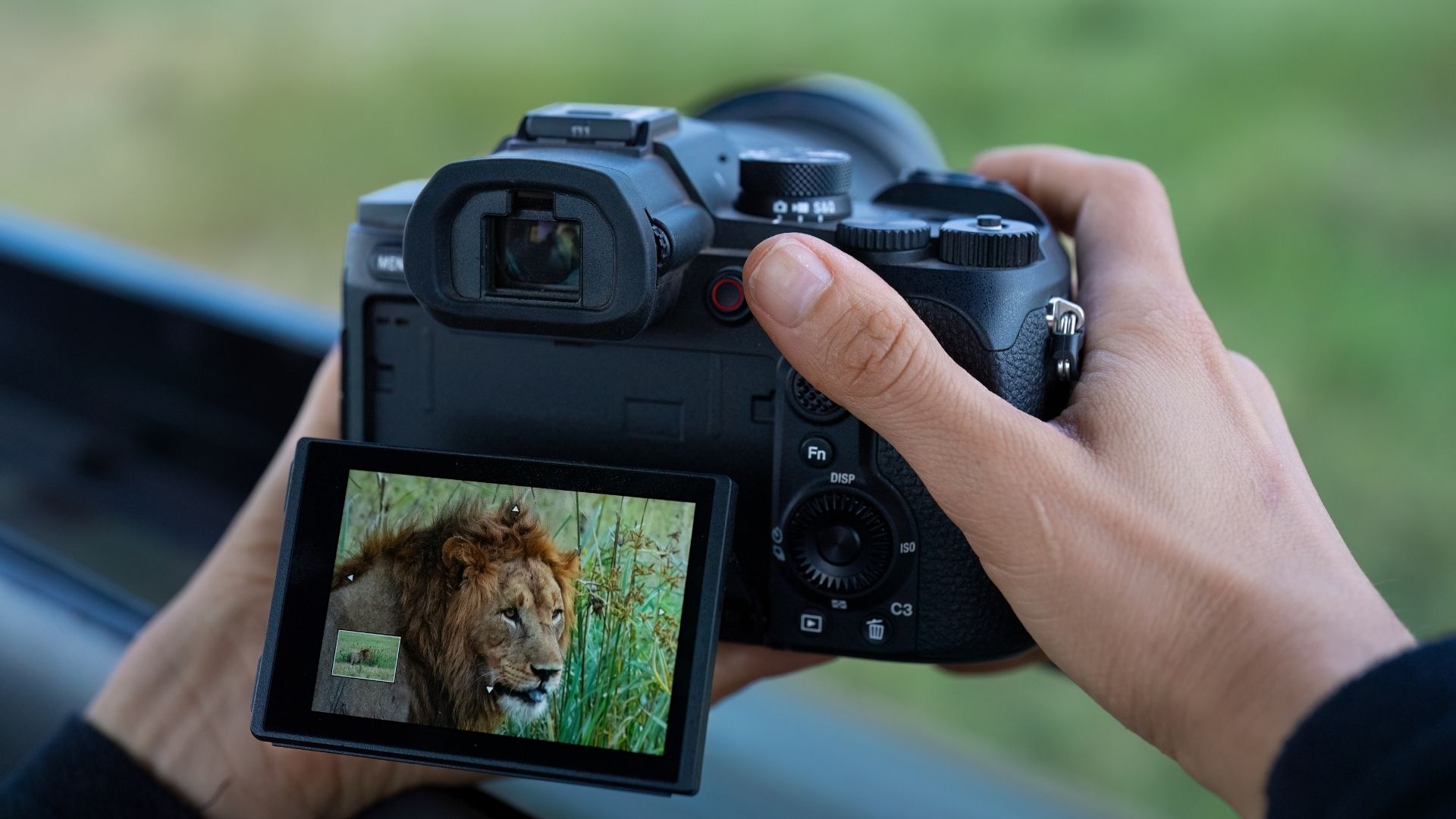 Sony RX10 V: The Superzoom Bridge Camera That Replaces a Lens Bag