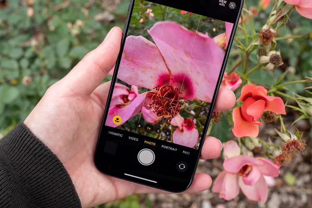 Master Macro Photography on Your Smartphone