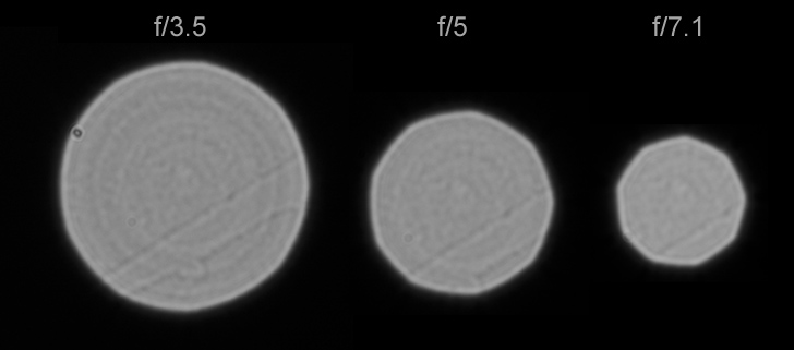 Nikon Z 24-105mm f/4-7.1 vs Nikkor Z MC 50mm f/2.8: chọn zoom đa năng hay macro chuyên dụng?