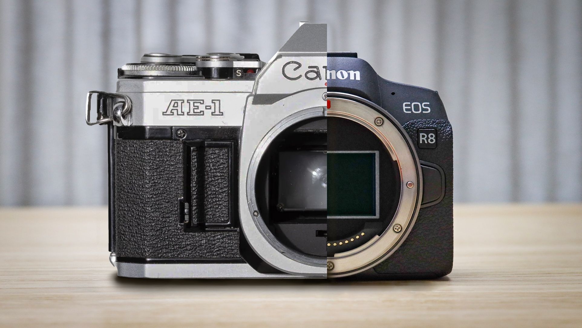 Canon’s Retro Full-Frame EOS R8 Mark II Aims Squarely at Lifestyle Creators