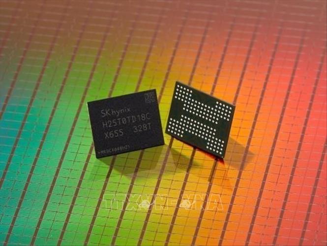 Chip Nhớ Tăng Giá 50%: Ác Mộng Mới Của Người Xây Dựng PC
