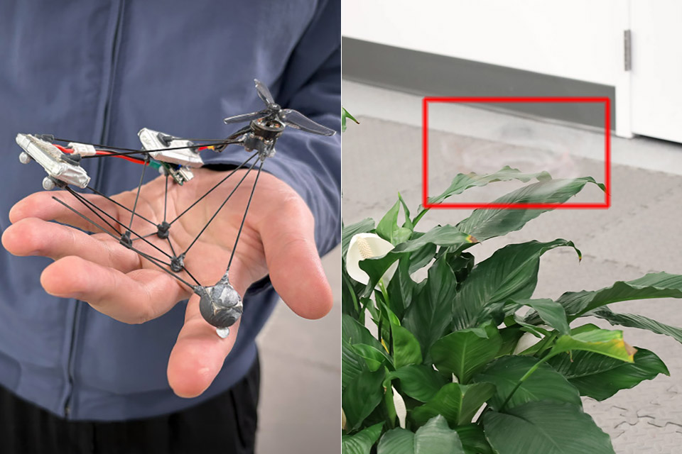 How Phantom Twist Spins Its Way Into Near Invisibility