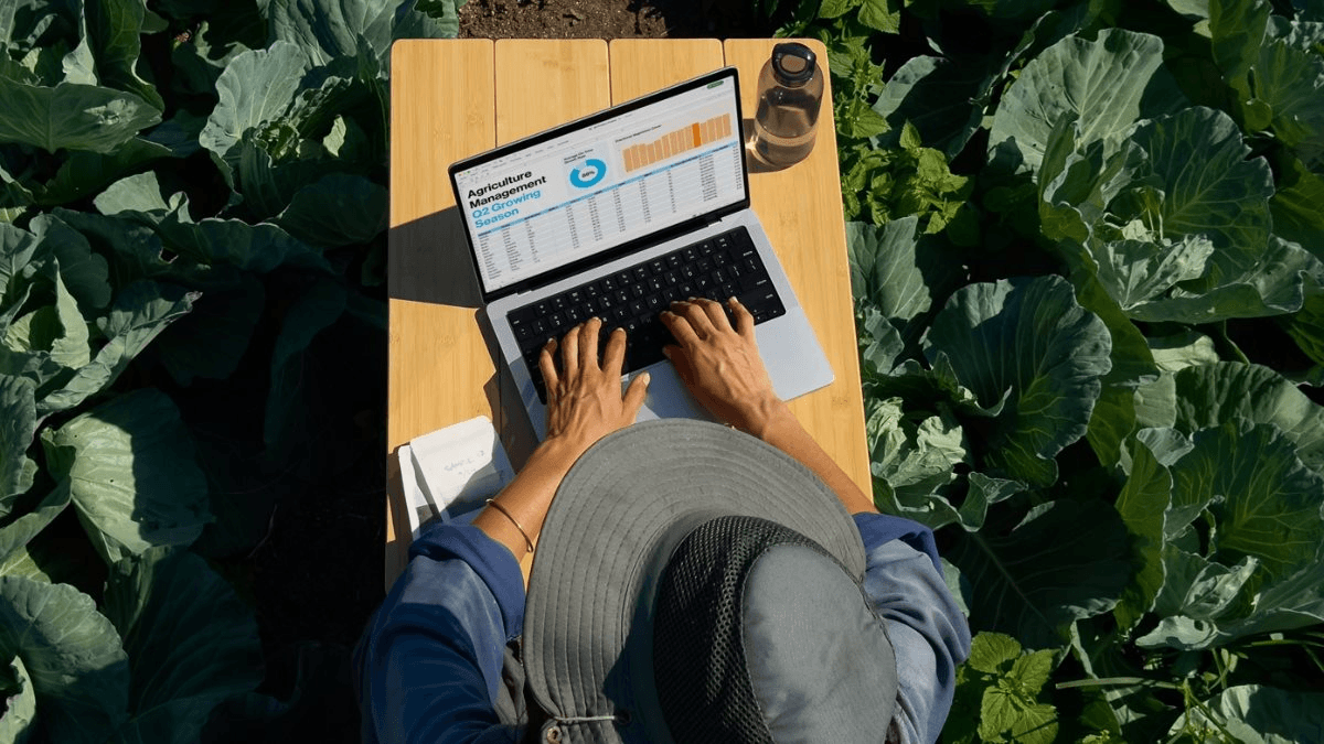 MacBook hay laptop Windows cho sinh viên: nên chọn gì?