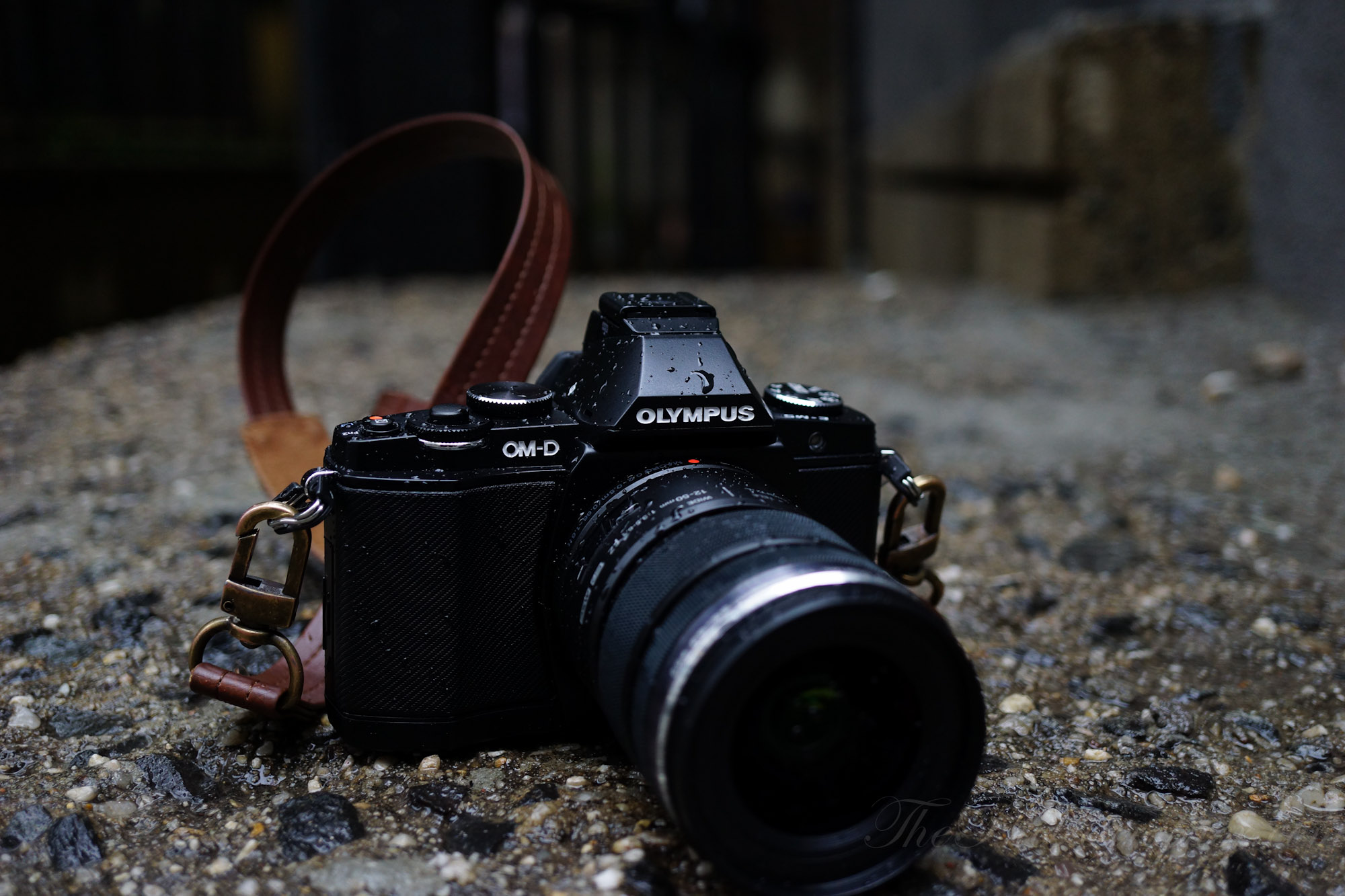 Compact Cameras Under $500: Kodak PixPro vs Rangefinders and Film Point-and-Shoots