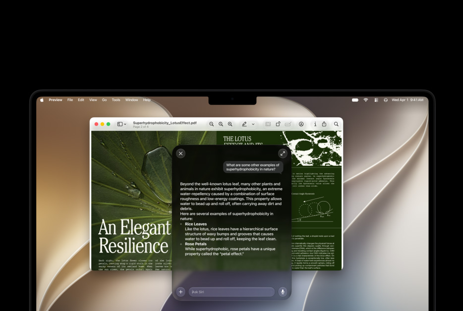 macOS Golden Gate beta: Siri AI, Spotlight mới và cách cài đặt