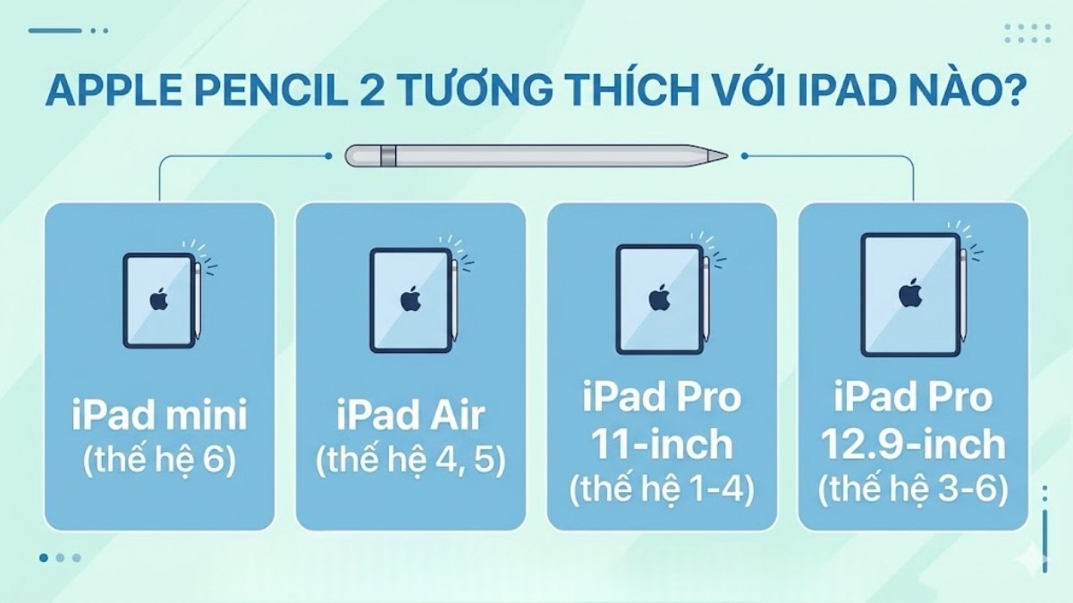 Apple Pencil 2 tương thích với iPad nào? Đừng mua nhầm