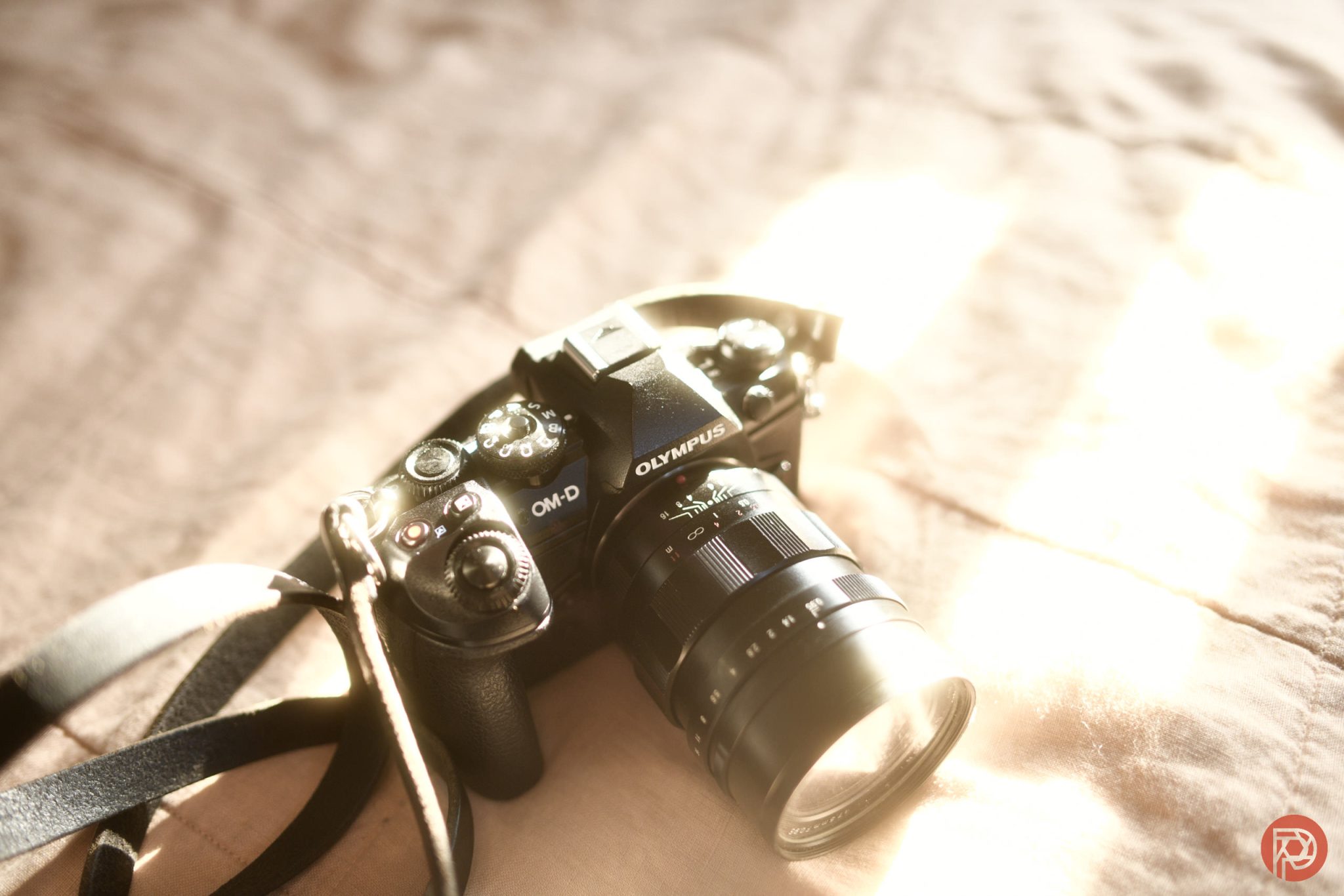 How to Spot Counterfeit Memory Cards and Scams When Buying Used Camera Gear