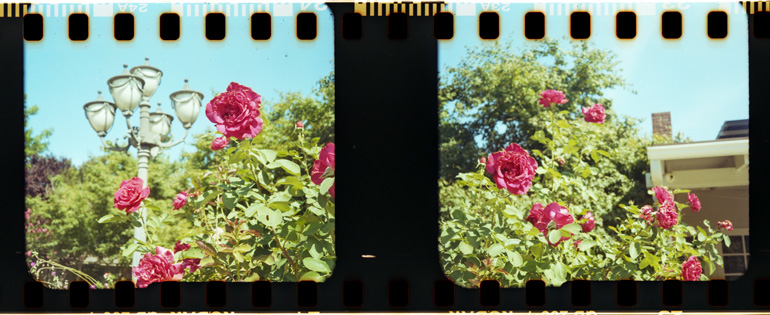 Máy ảnh Analog Giá Rẻ cho Gen Z: 5 Point-and-Shoot Vintage Đáng Mua