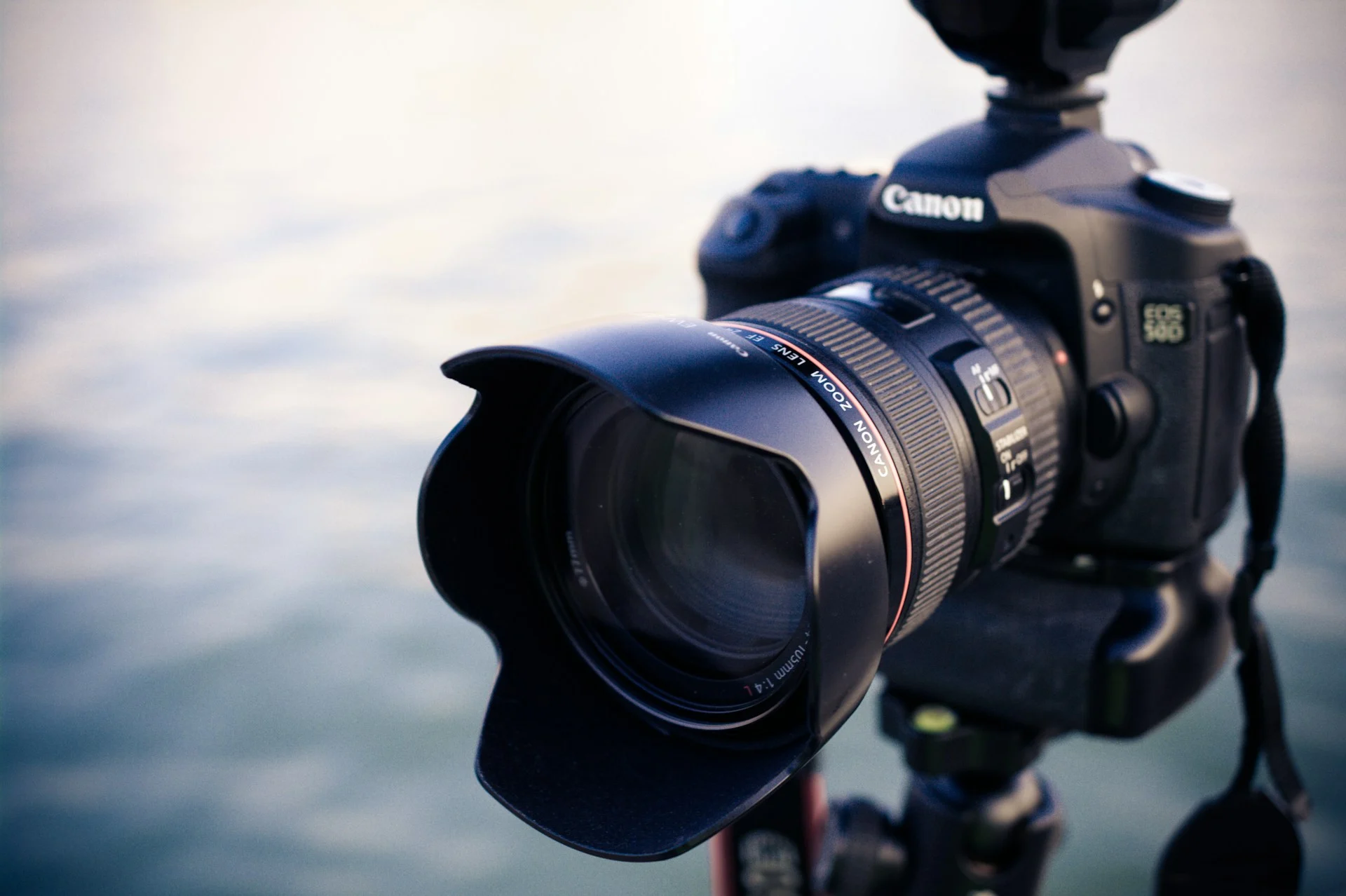 Photography Presets for Beginners: Cut Your Editing Time Without Losing Quality