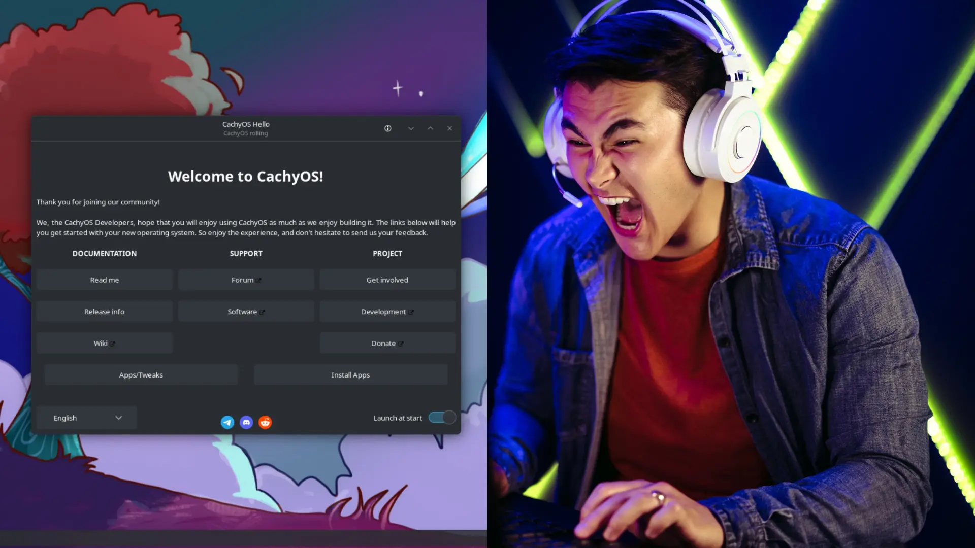 Fedora vs CachyOS: Linux Gaming Nào Đáng Để Bỏ Windows?