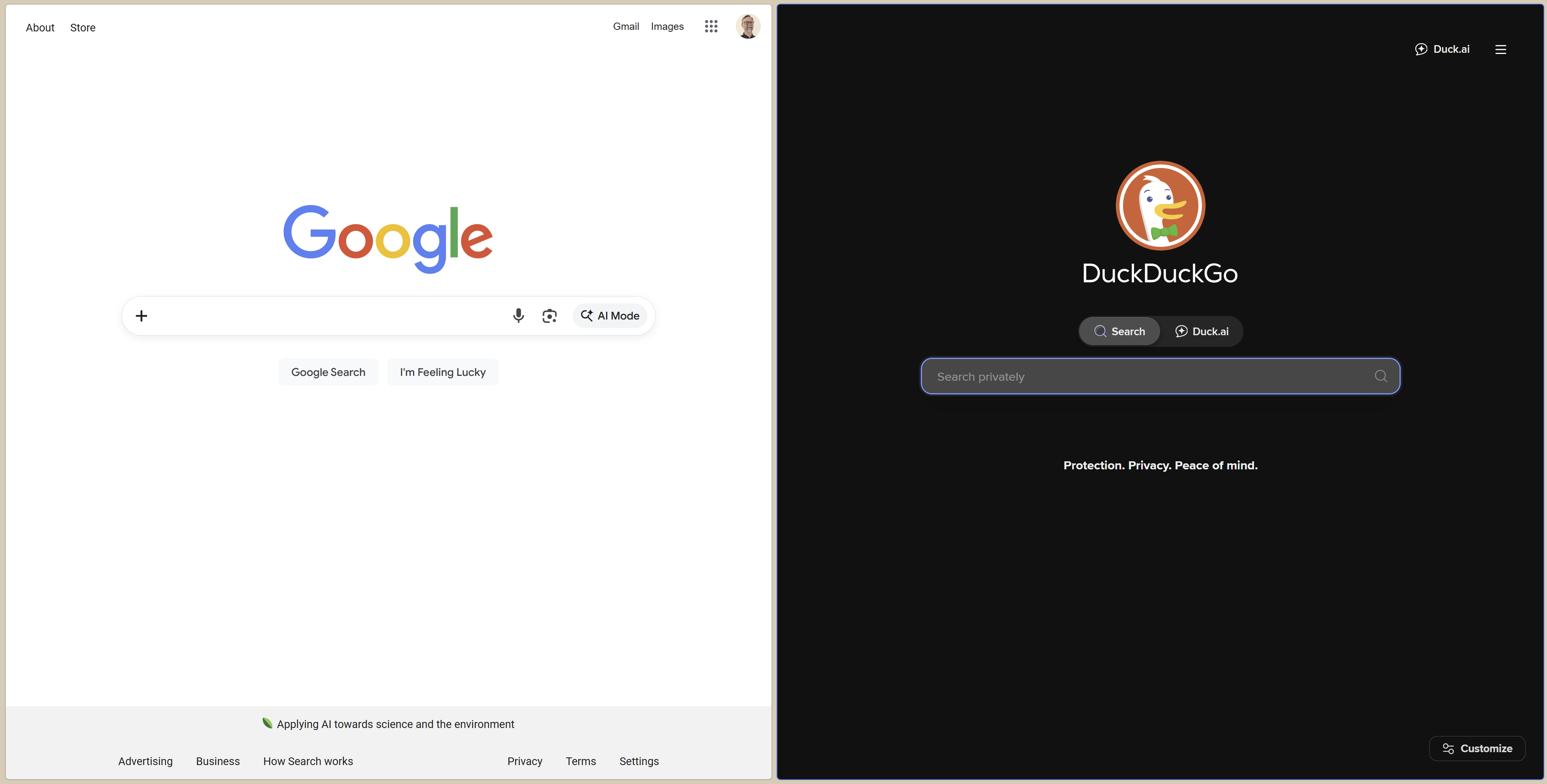 Google AI Overviews vs Privacy Search Engines