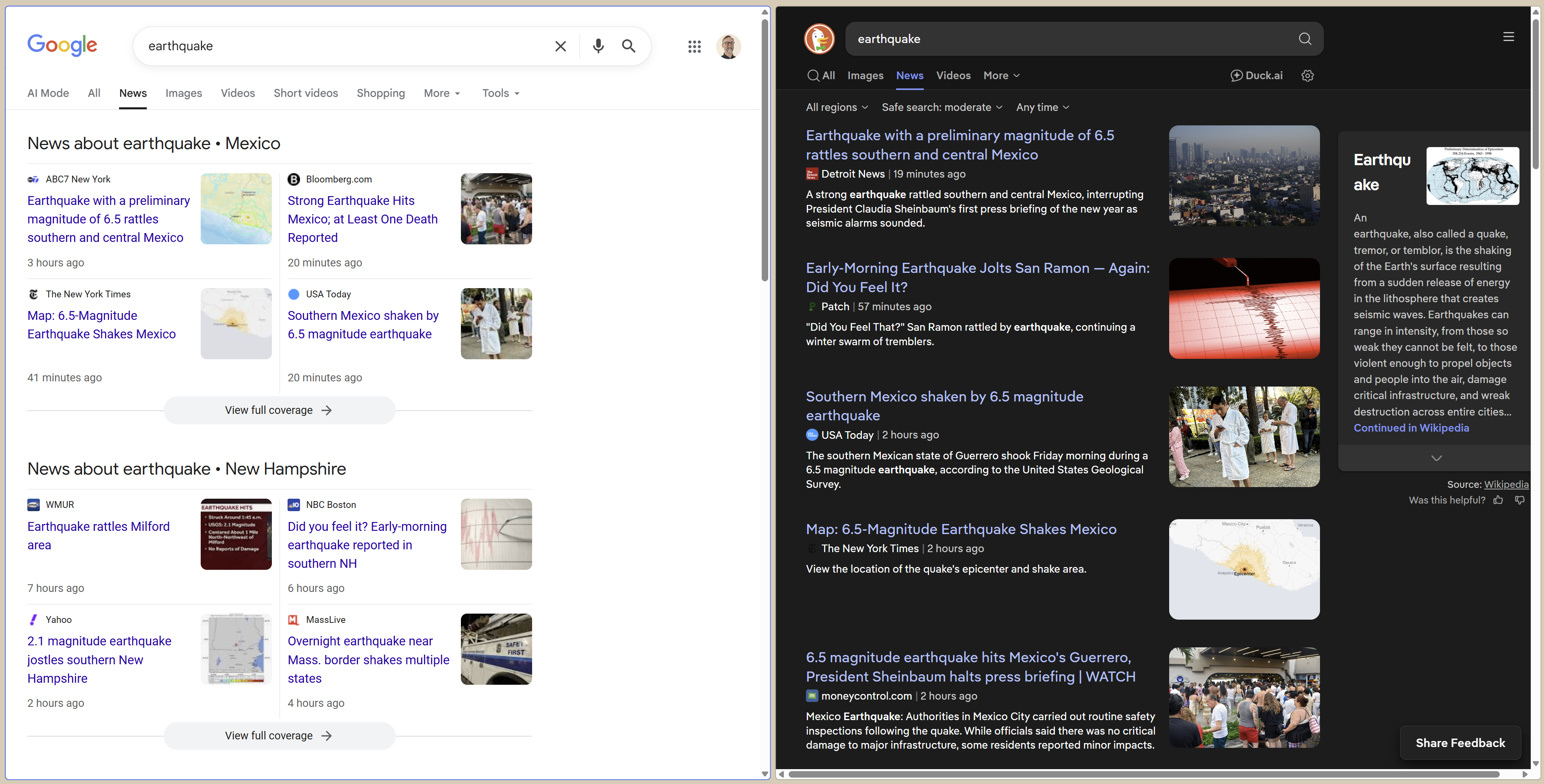 Google AI Overviews vs Privacy Search Engines