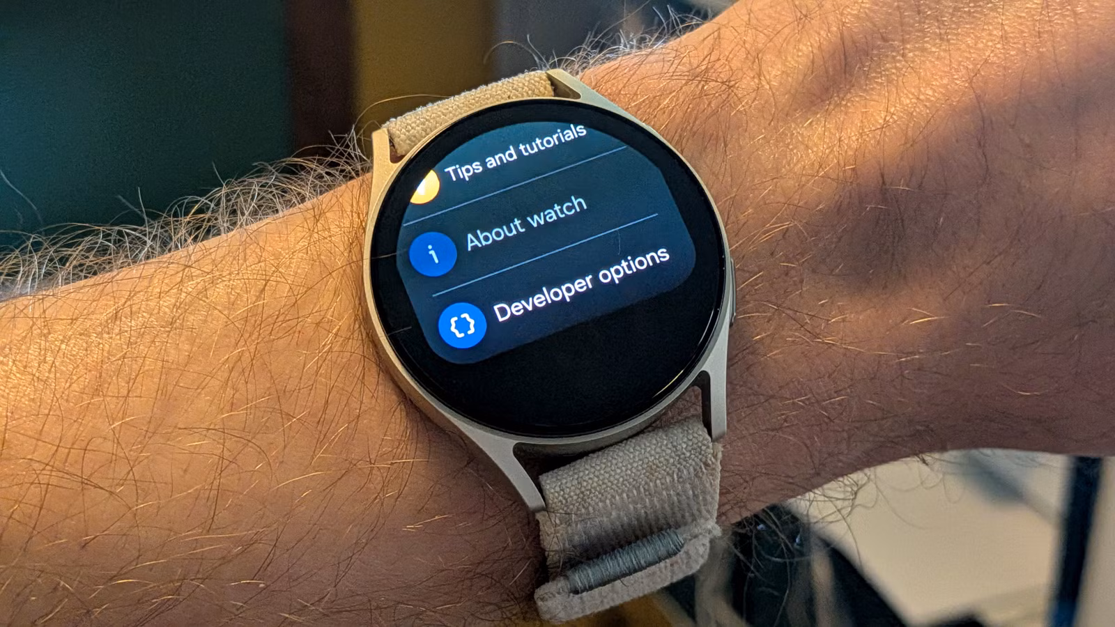 Galaxy Watch chế độ developer: mở khóa tính năng ẩn