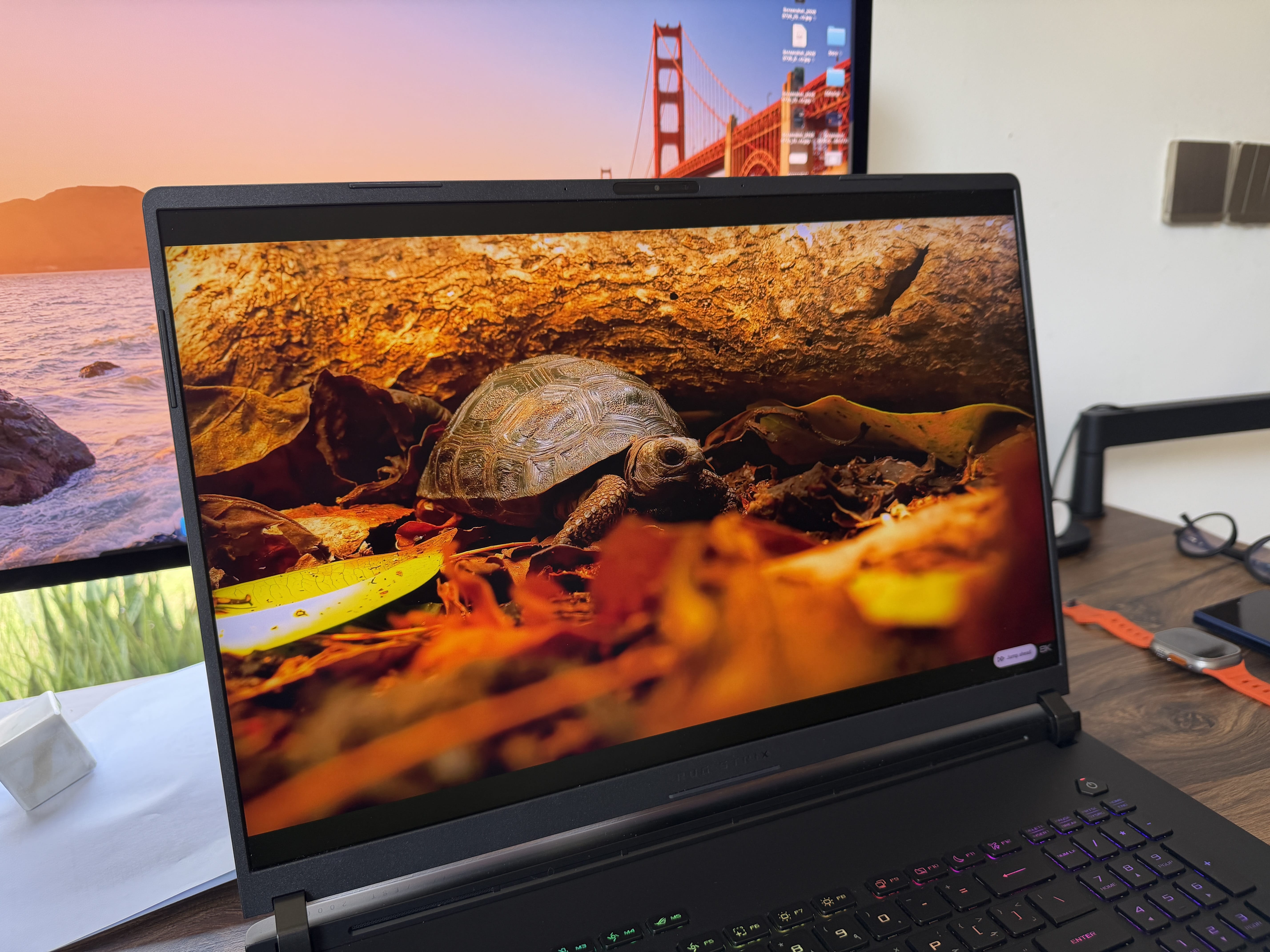 4K Gaming Laptops vs High-Refresh Screens: Who Actually Keeps Up?