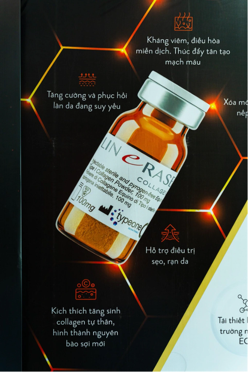 Collagen Type I trong thẩm mỹ tái tạo: Từ nghiên cứu đến thực hành