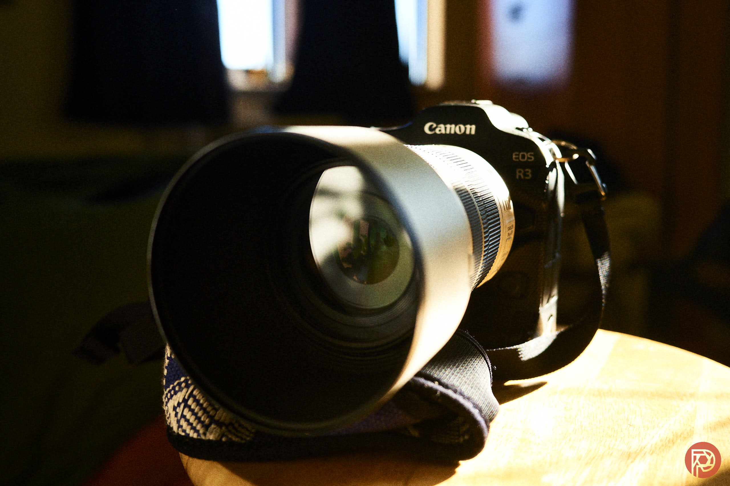 Canon EOS R10 vs Budget Full-Frame: The Right First Mirrorless