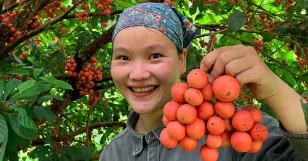 Tại sao người bán nông sản rời bỏ các sàn thương mại điện tử