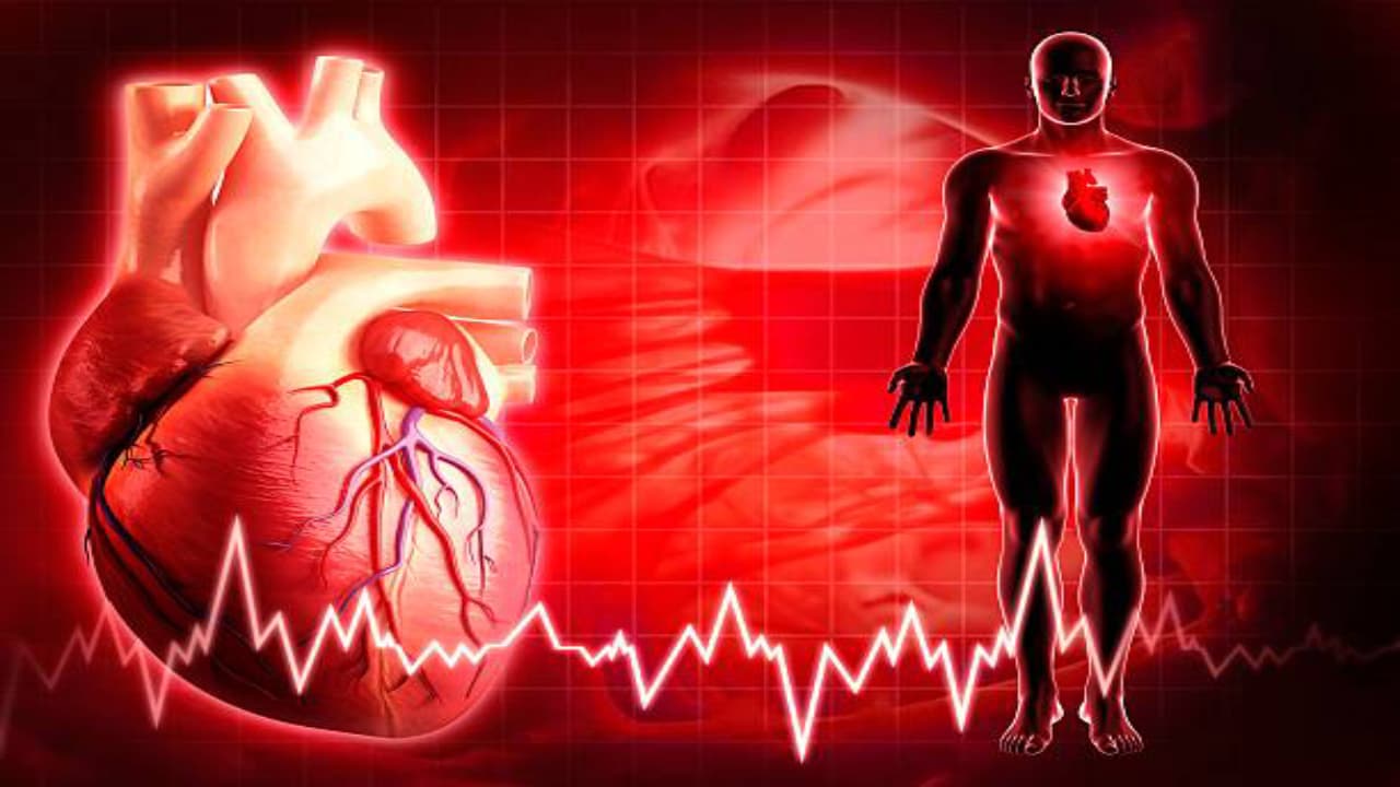 Why Muscle Strength Is a Hidden Indicator of Heart Health