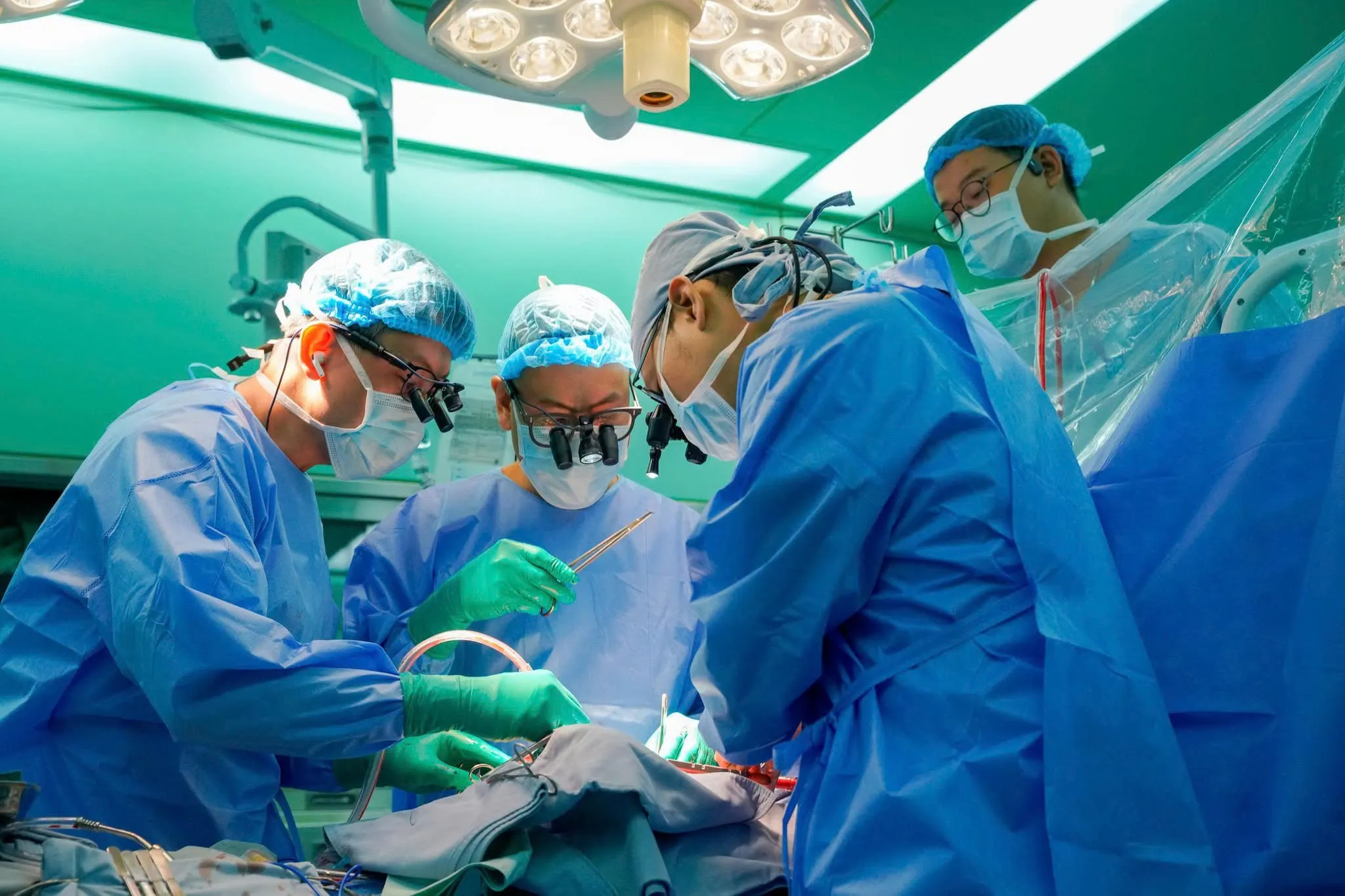 Chế độ ăn cân đối: Chiến lược dinh dưỡng toàn diện để phòng ngừa bệnh tim mạch