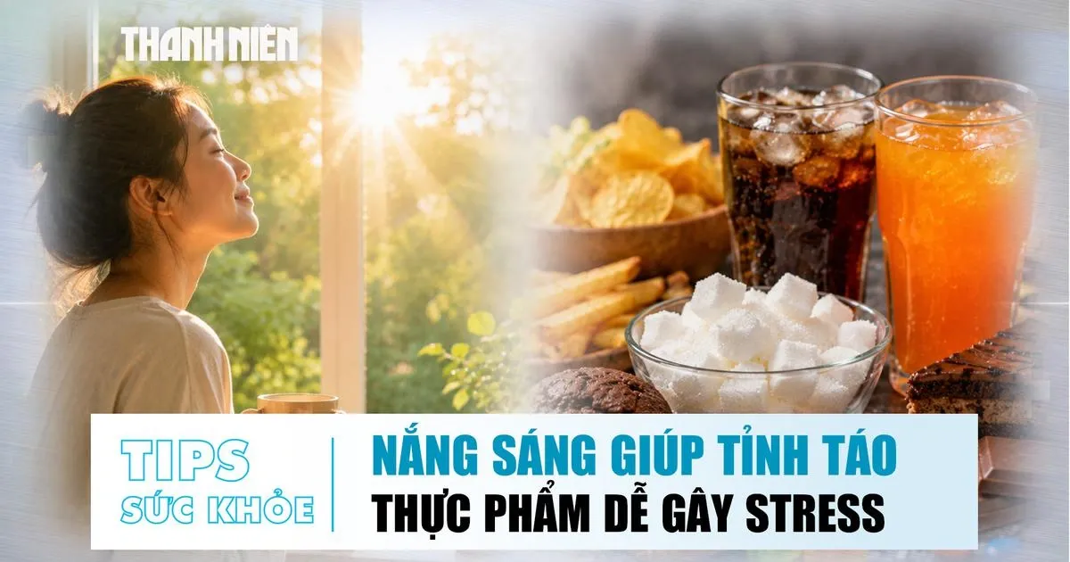 Cách nuôi dưỡng hệ miễn dịch cân bằng bằng thói quen nhỏ mỗi ngày
