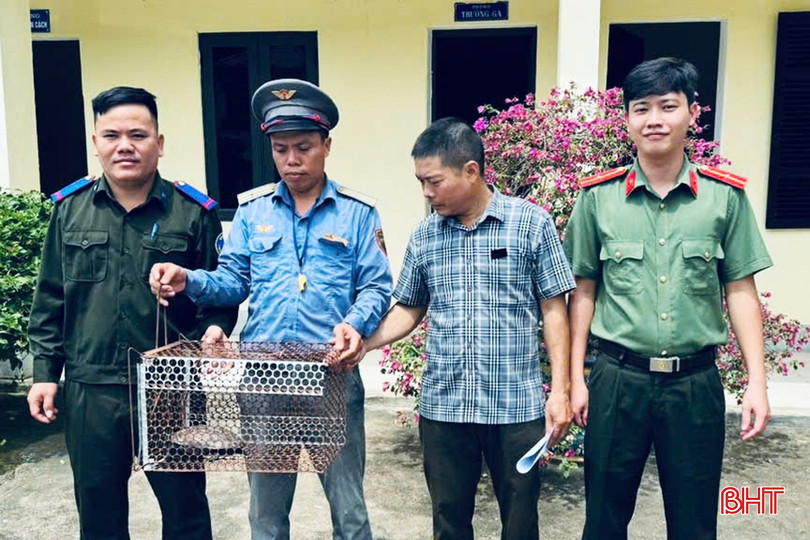 Người dân Hà Tĩnh giao nộp rùa đầu to quý hiếm: Tín hiệu tốt cho bảo tồn