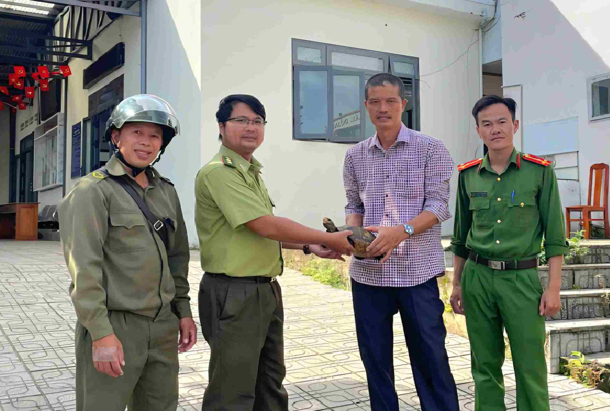 Người dân chủ động giao nộp rùa quý hiếm: tín hiệu đáng mừng cho bảo tồn