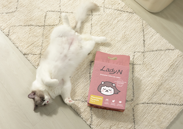 Why Your Cat’s Litter Box Still Smells—and the Role of Pheromone Litter