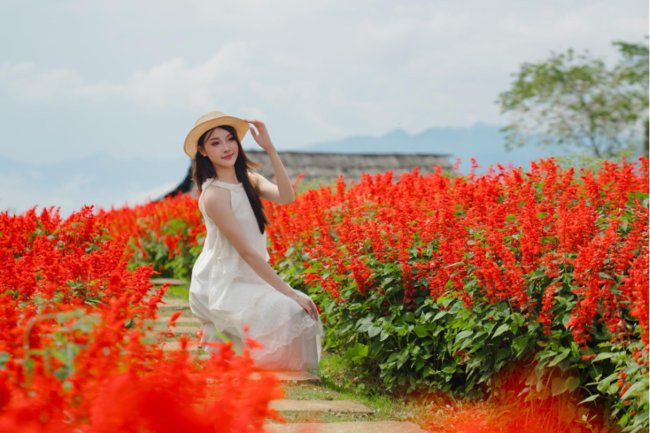 Fansipan vào mùa hoa: biển xác pháo và lễ hội dơn thóc trên nóc nhà Đông Dương