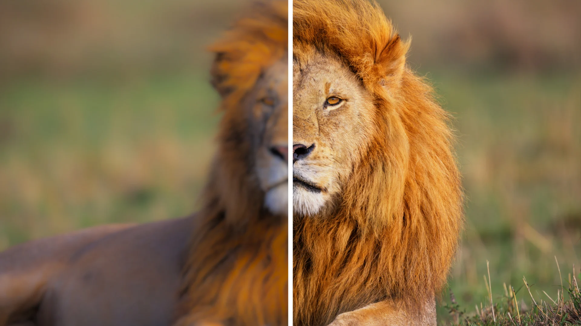 Watermark Removal vs. Video Enhancement: Getting the Order Right