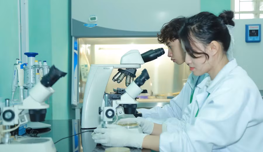 Học bổng Chính phủ 1.300 tỷ cho ngành khoa học và công nghệ chiến lược