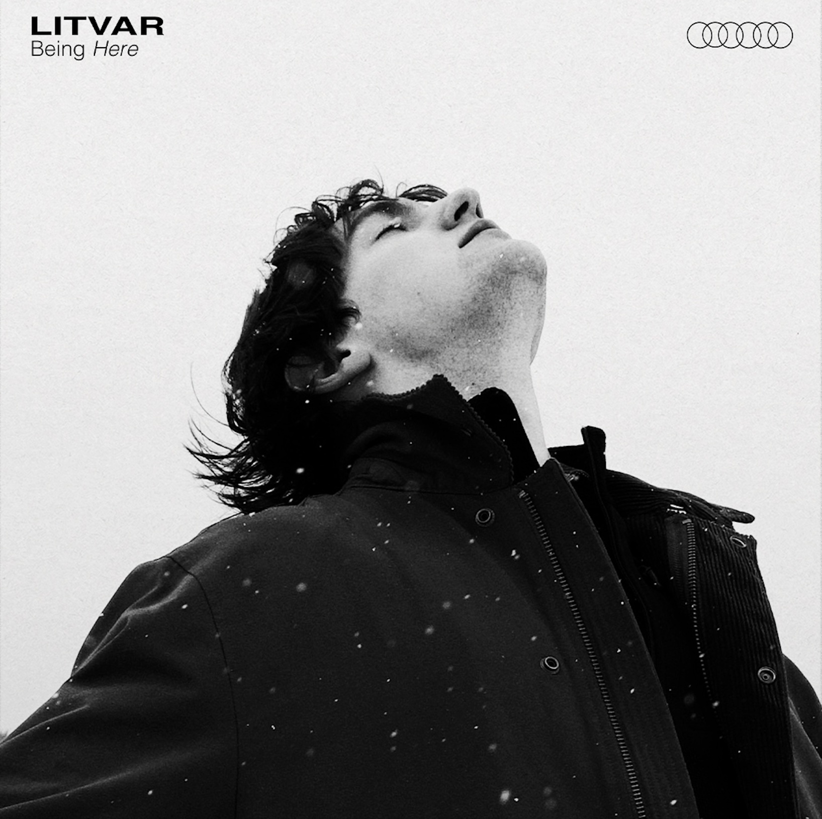 Introspective Indie Bands Turn Hardship into Intimate Album Breakthroughs