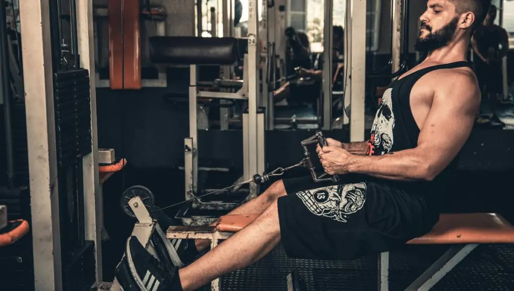 Pull-Ups vs Cable Rows: The Definitive Beginner's Guide to a Wider Back