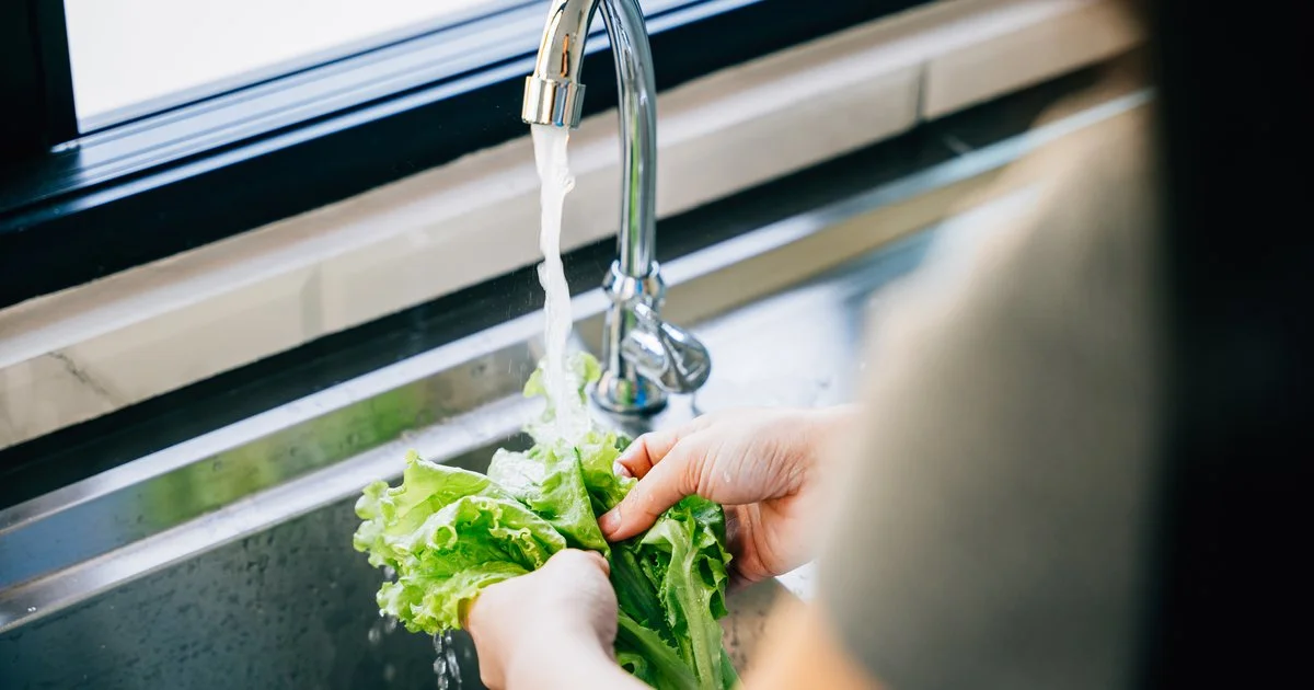 How to Safely Wash and Store Lettuce to Prevent Foodborne Illness