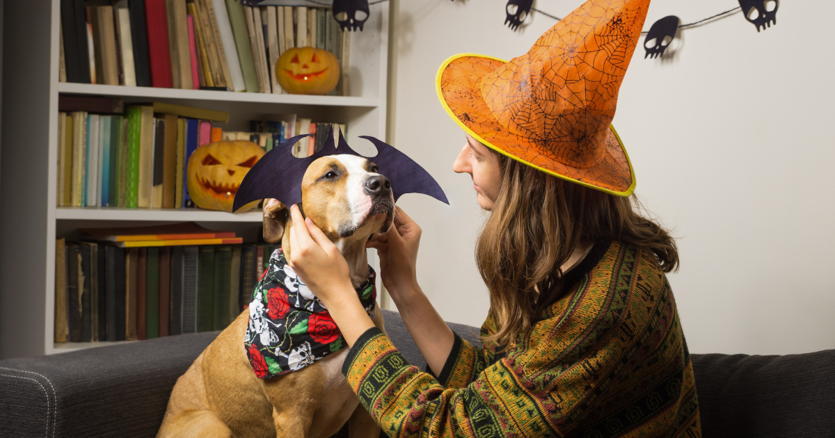 41 Halloween Dog Costumes and Celebration Ideas for a Howling Good Time