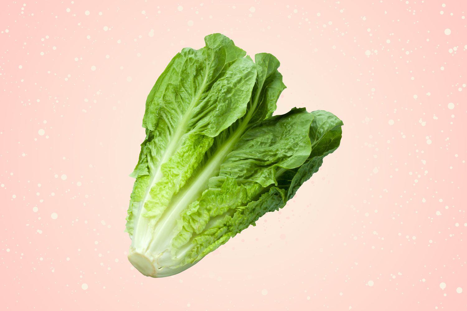 How to Safely Wash and Store Lettuce to Prevent Foodborne Illness