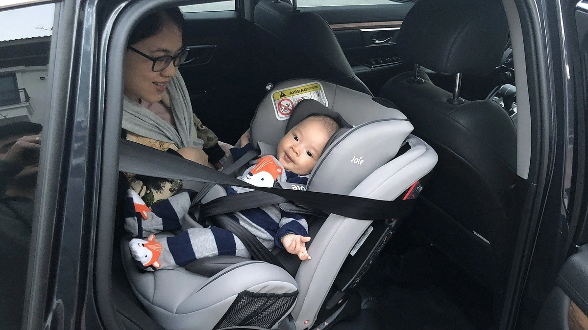 Phạt 2 triệu khi dắt chó không đeo rọ mõm: Chủ nuôi cần chuẩn bị gì?