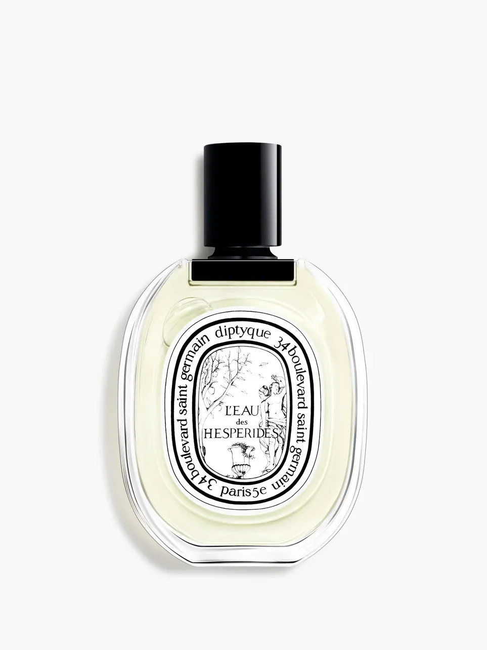 The Expert Guide to Fragrance Transitions from Summer to Fall