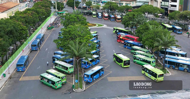 Từ vé buýt miễn phí đến chiến lược du lịch công cộng giá rẻ